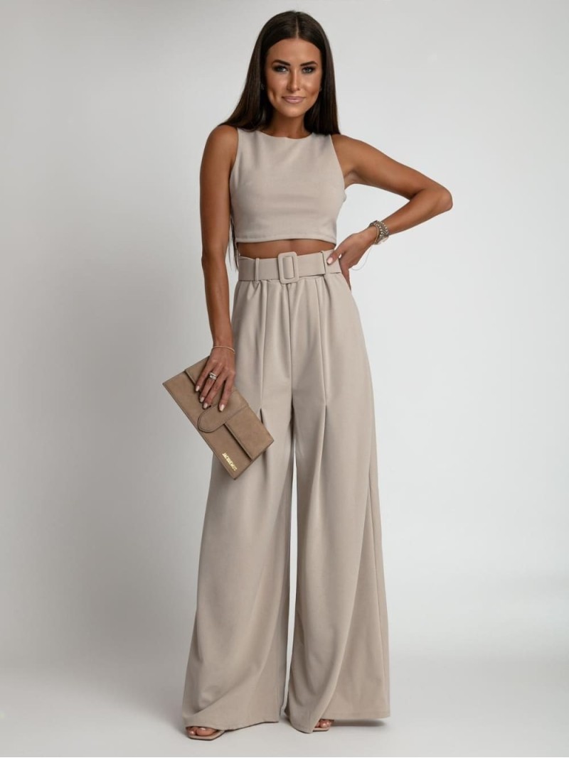 2-piece set, wide pants and beige blouse AZRHP3868